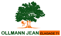 elagueur-ollmann-jean-elagage